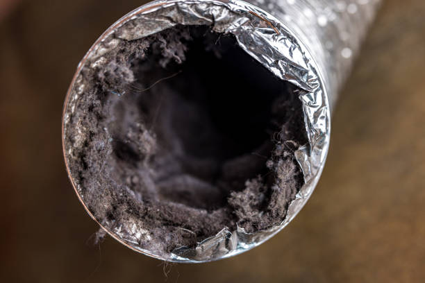 Best HVAC Duct Inspection Services  in Vass, NC